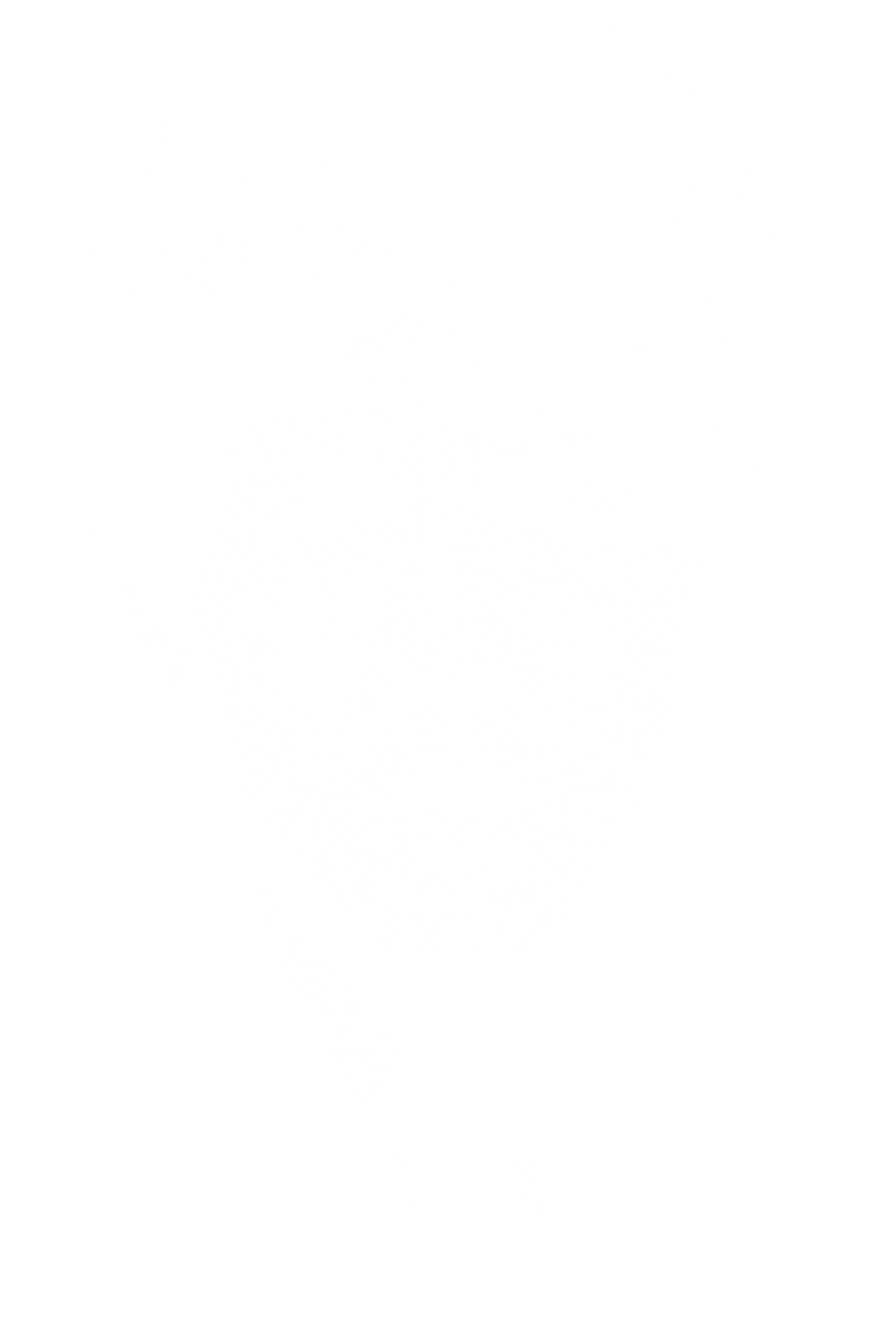 Polera Paul McCartney / The Beatles