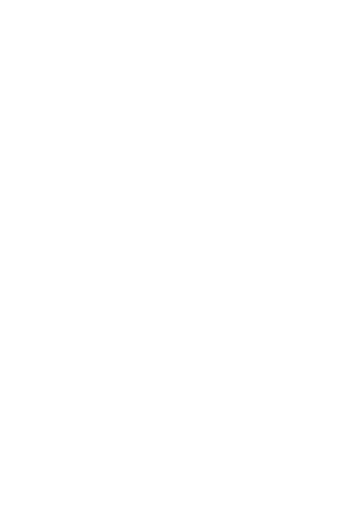 Jim Morrison / The Doors