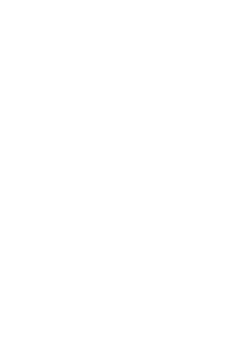 Polera Kurt Cobain Vol II